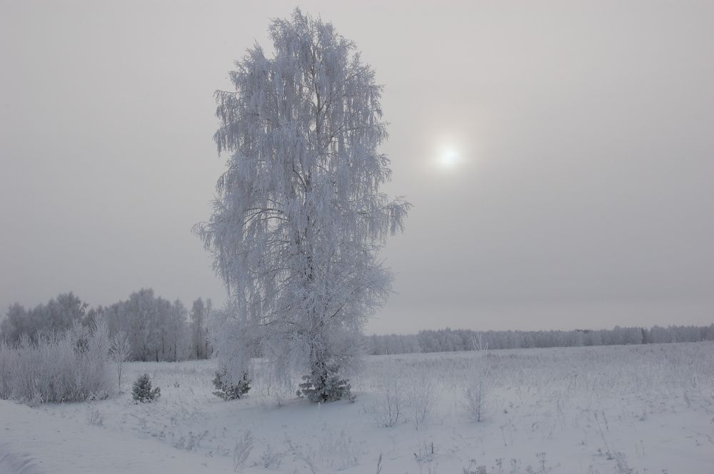Фотография автора Николай Пугаев