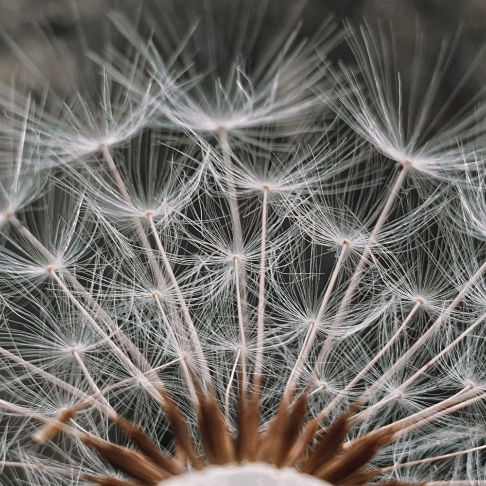 Photograph by Темур Талипов