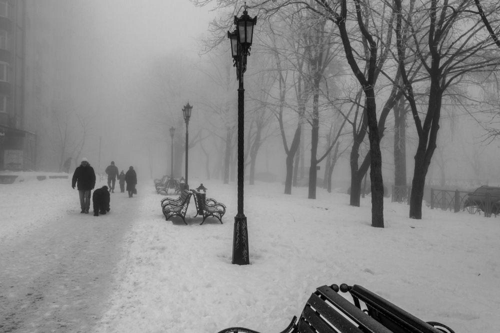 Photograph by 