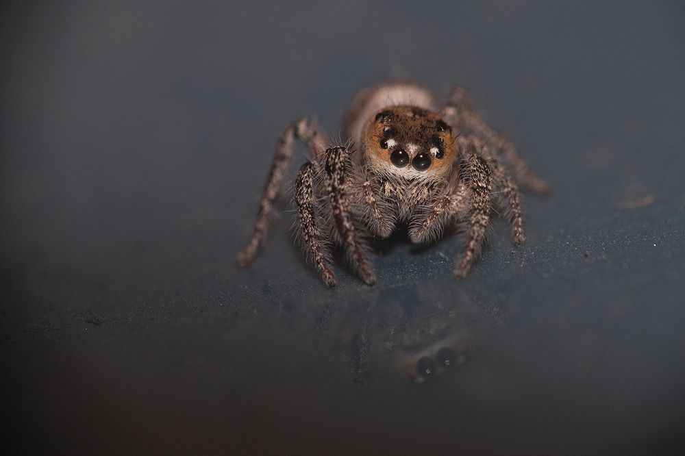 Photograph by Yogesh Puranik