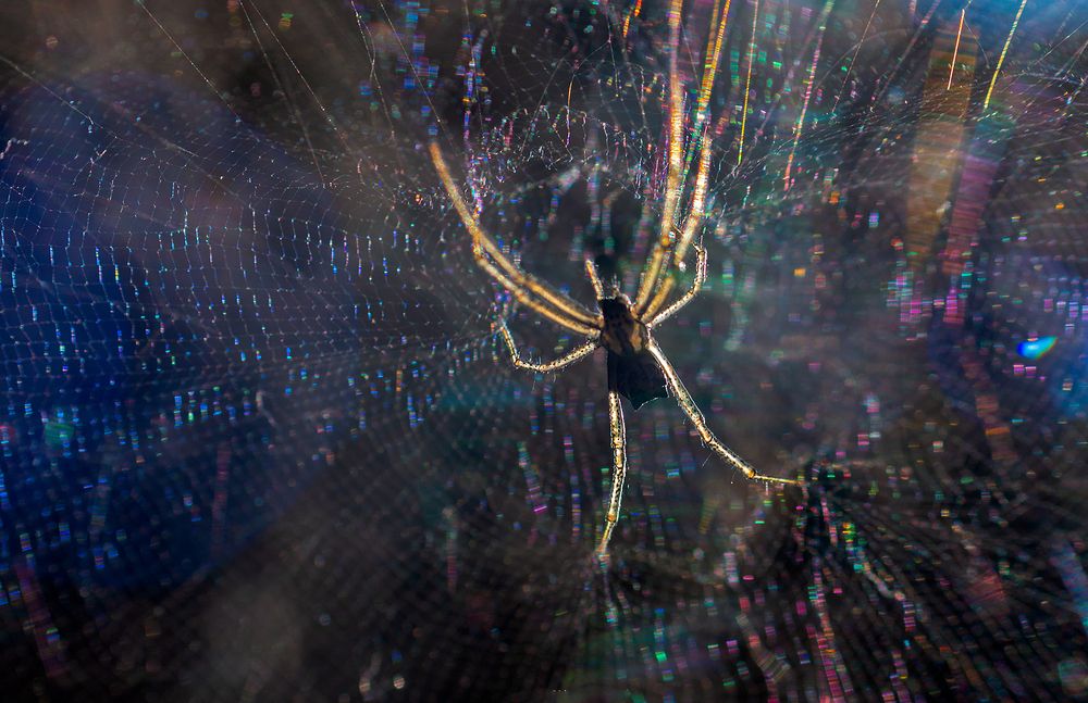 Photograph by Yogesh Puranik