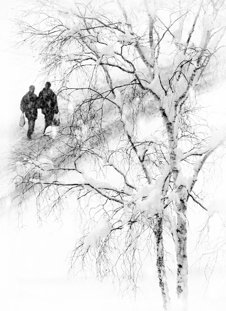 Проходящая натура