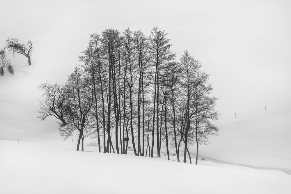 Photograph by Marcin Nalepka