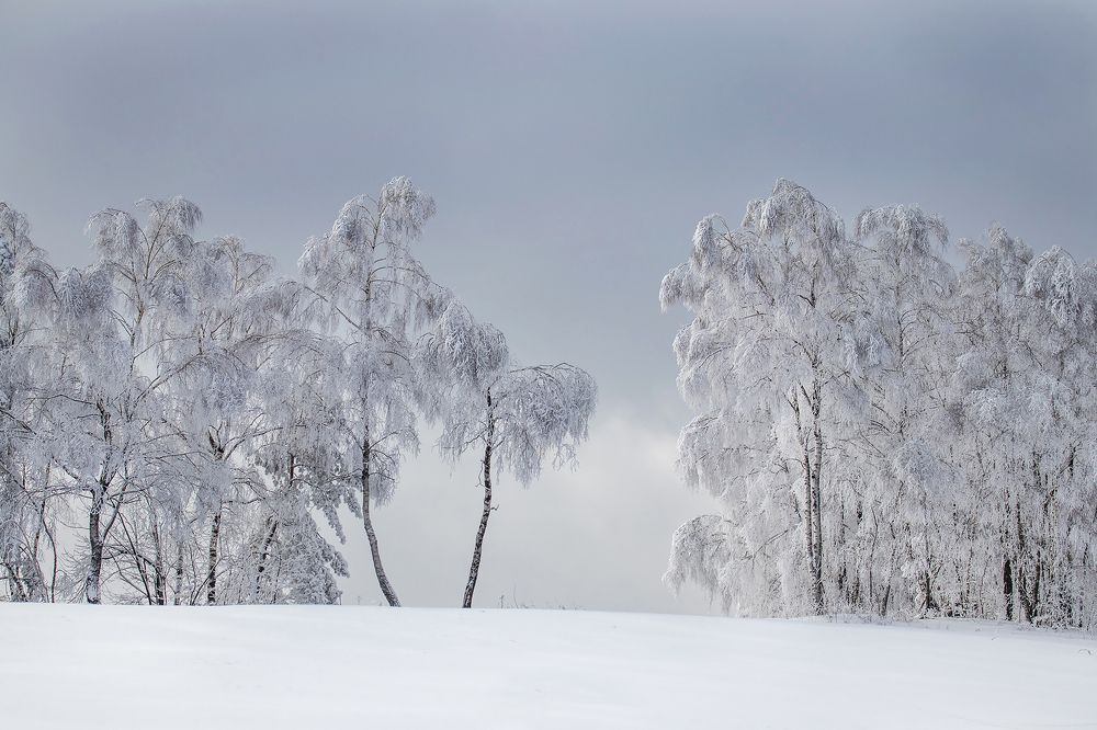 Photograph by Marcin Nalepka