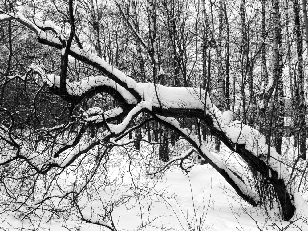 Photograph by Михаил Малец