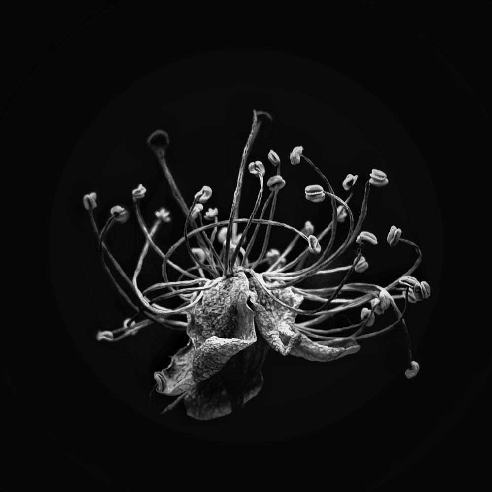 Photograph by Темур Талипов