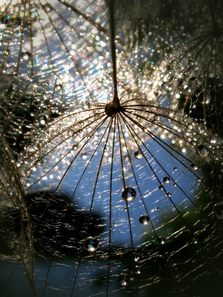 Photograph by Олена Лукашевич