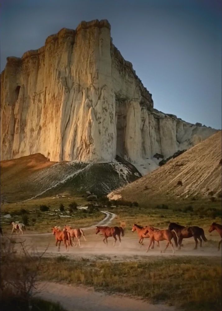 Photograph by Сергей Жигульский