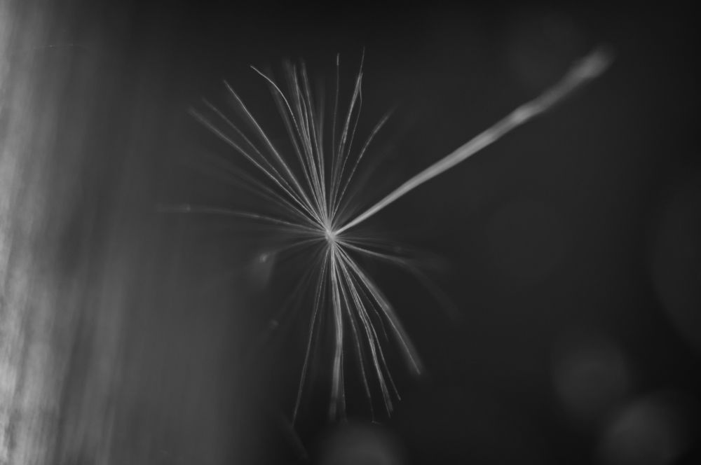 Photograph by Михаил Серебренников