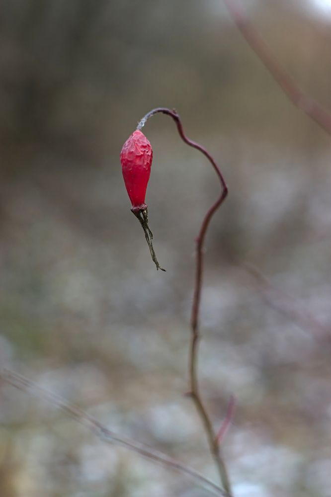 Photo #7070061