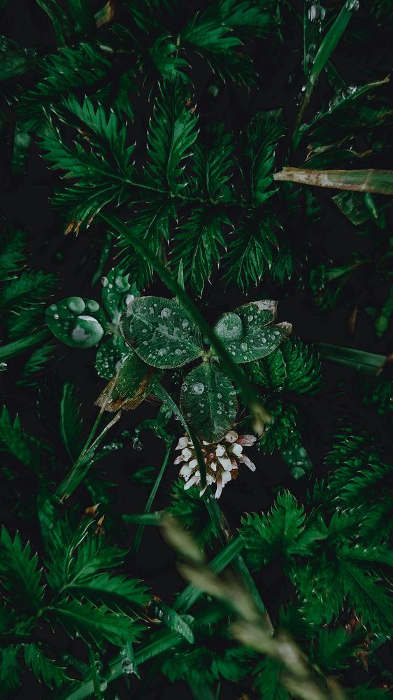 Photograph by Лиля Тарасова