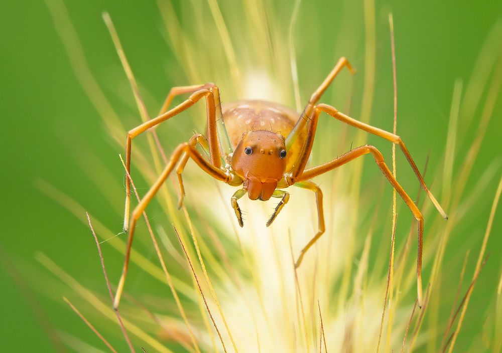 Photograph by TIAN CHING TAN