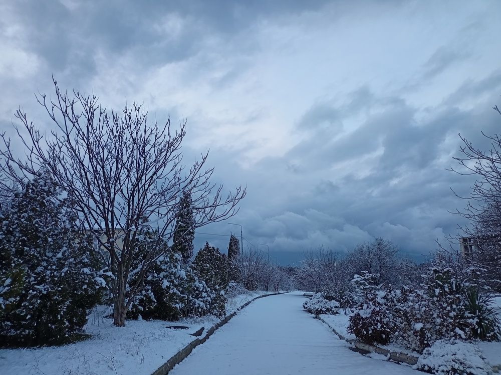 Photograph by Сергей Борисов