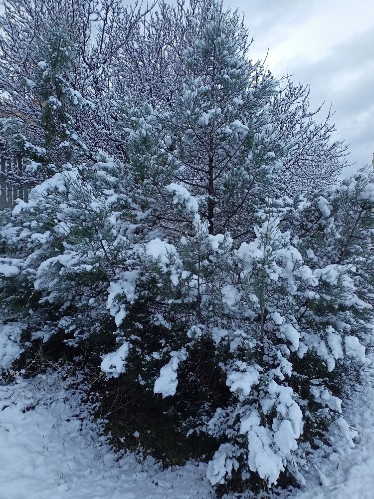 Photograph by Сергей Борисов