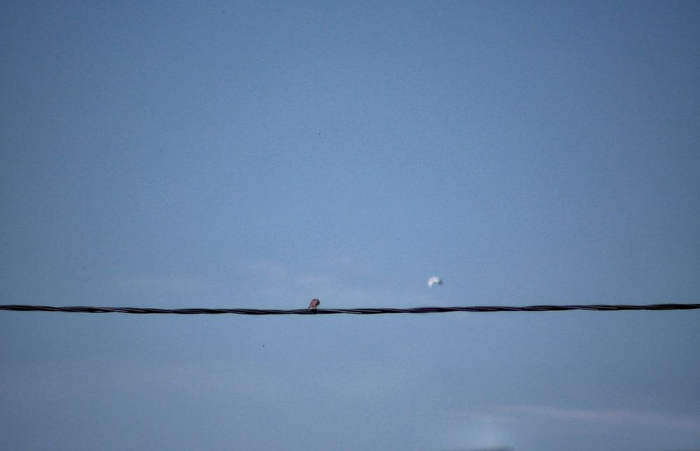 Photograph by Наталья Горбачева