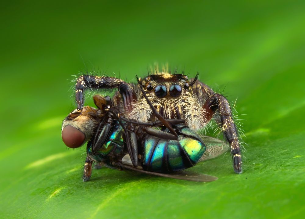 Photograph by TIAN CHING TAN