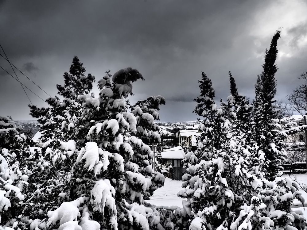 Photograph by Сергей Борисов