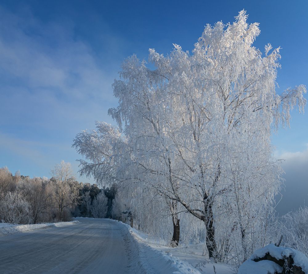 Фотография автора Александр Рудный