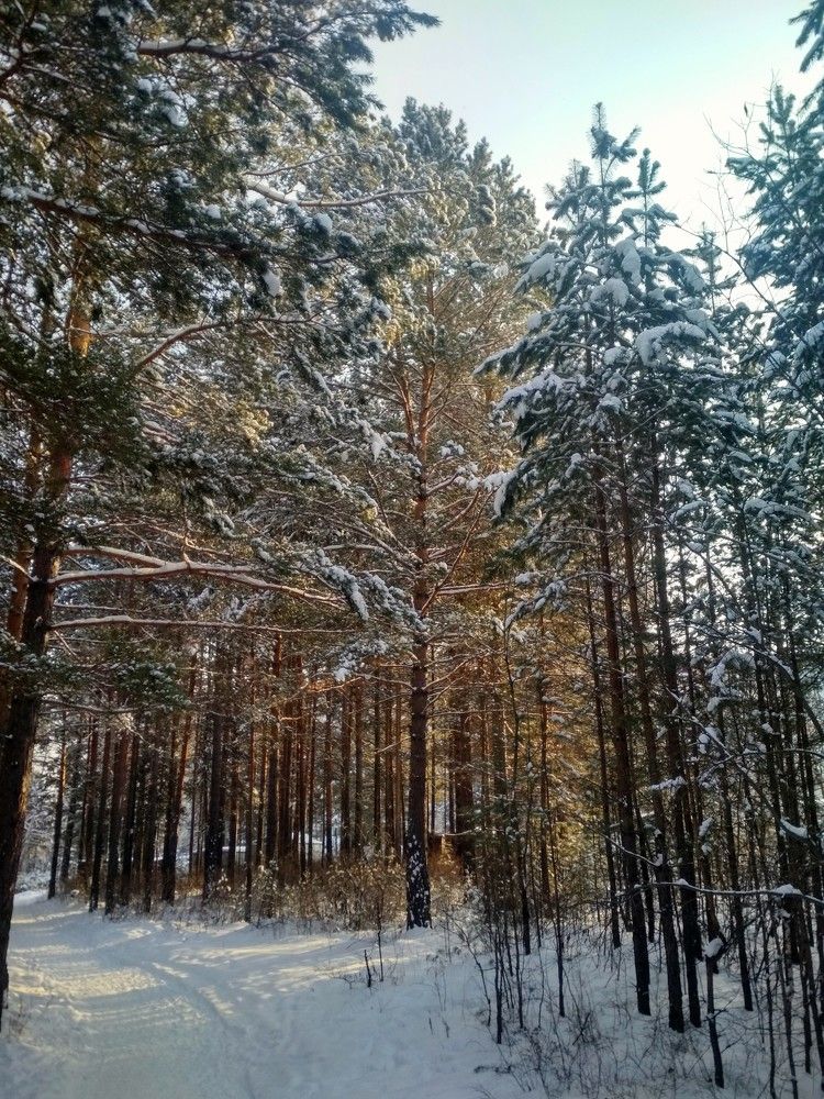 Photograph by Ольга Васильева