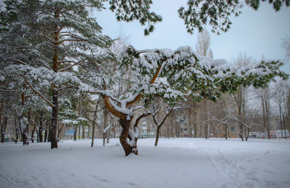 Photograph by Андрей Семенченко