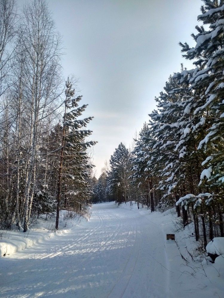 Photograph by Ольга Васильева