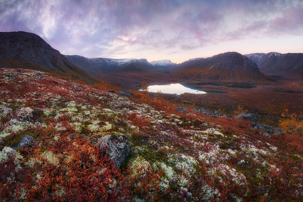 Photograph by Konstantin Voronov