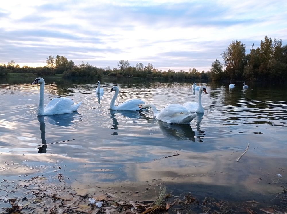 Photograph by Наталія Дронюк