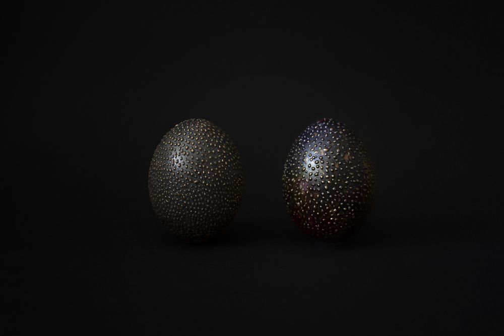 Photograph by Donalda La Fey