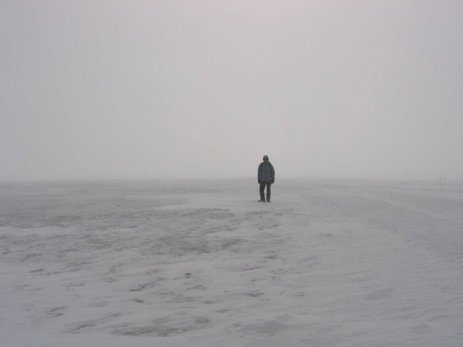 Photo #7070299