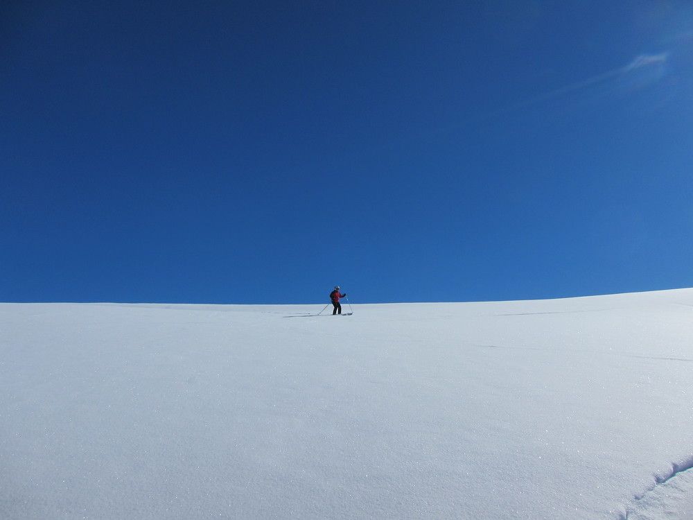 Photo #7070306