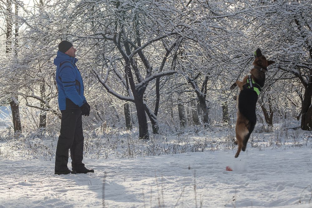 Photograph by Любовь Головина