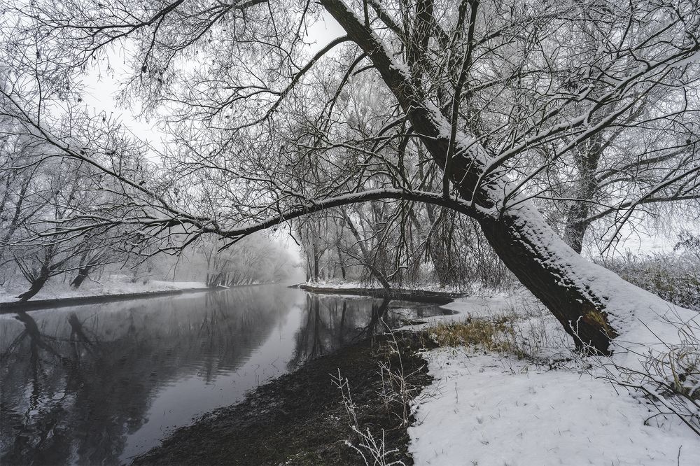 Photograph by Вячеслав Карабаш