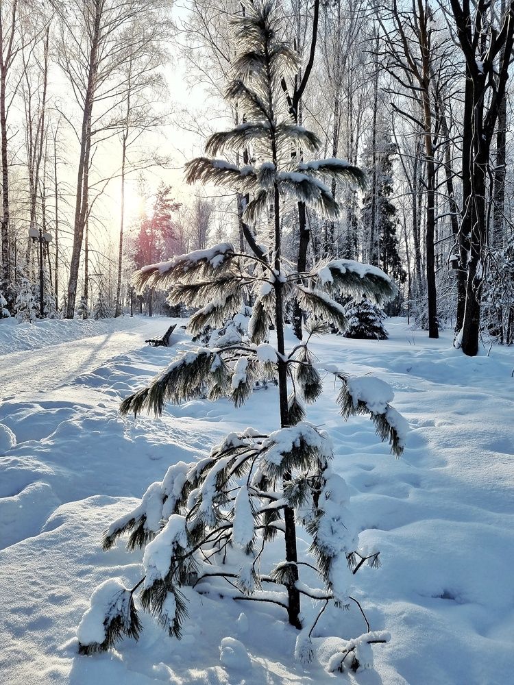 Photograph by Юлия Звонарева