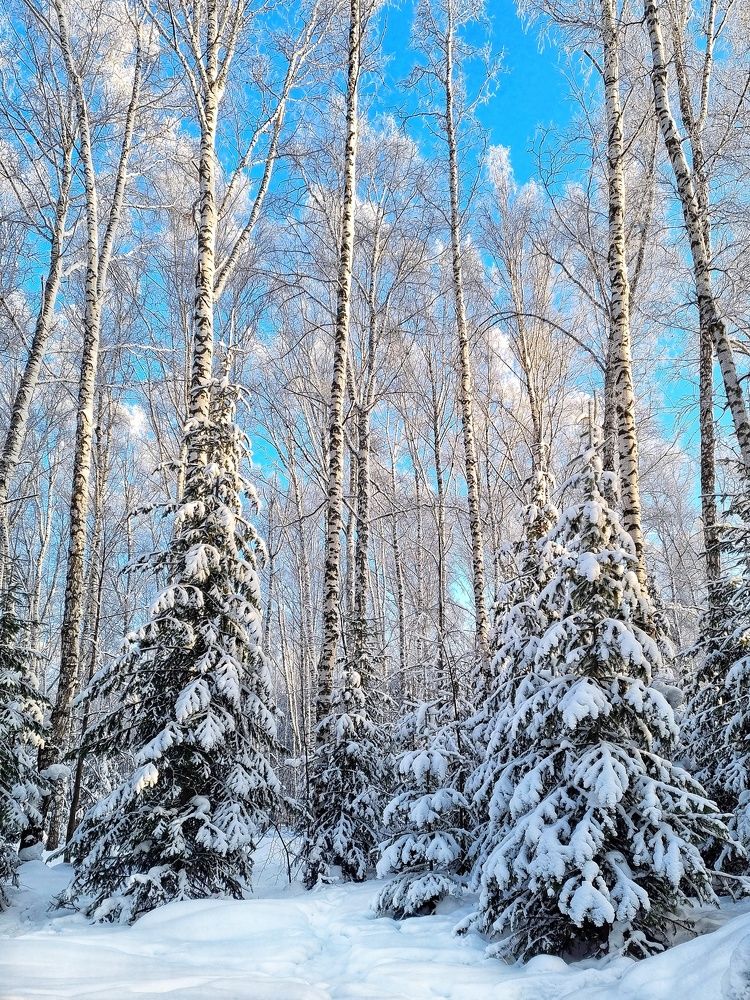 Photograph by Юлия Звонарева