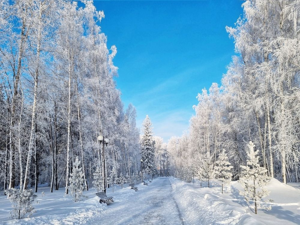 Photograph by Юлия Звонарева