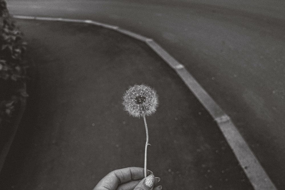 Photograph by Илья Найко