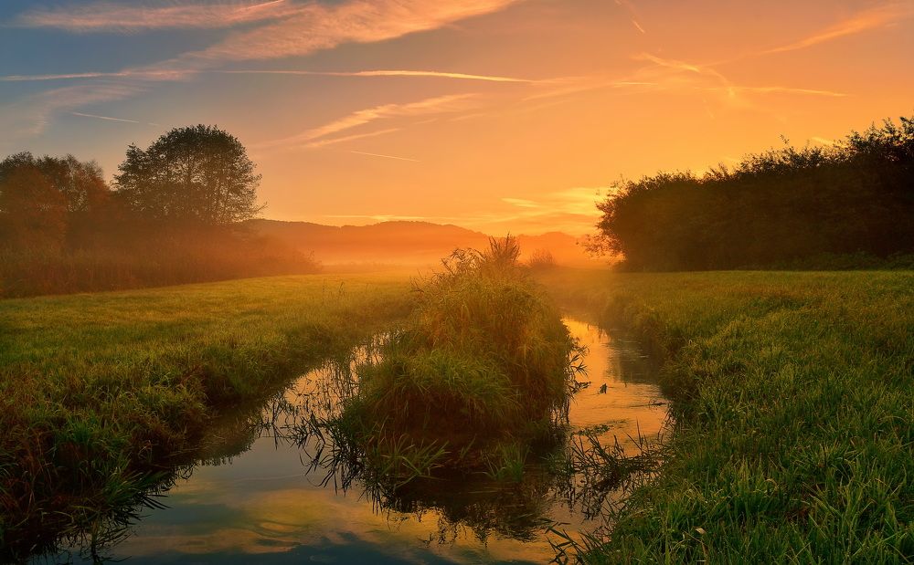 Photograph by Elena Wymann