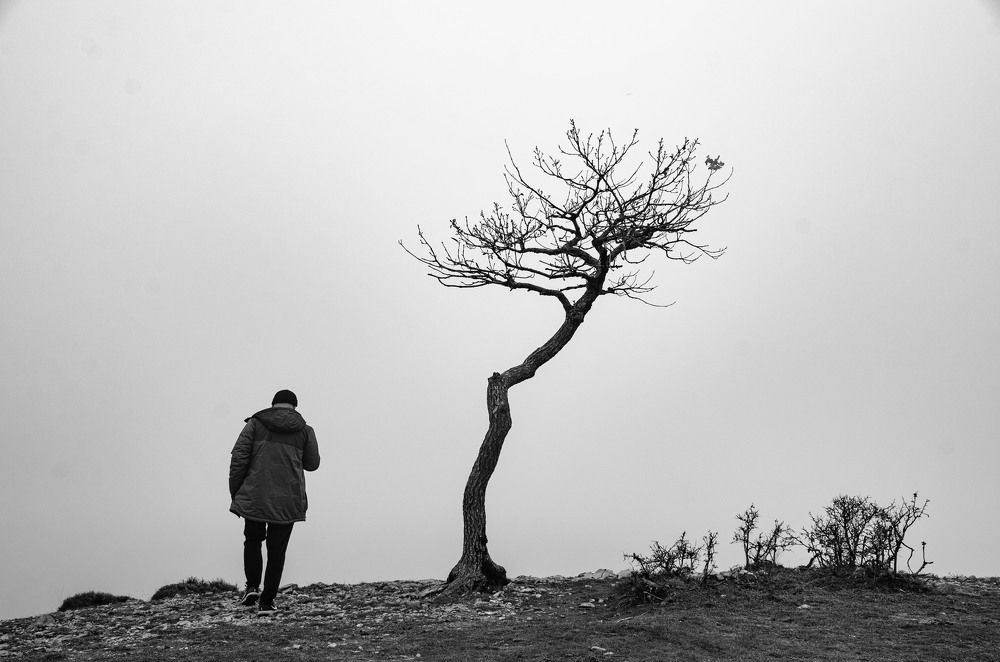 Photograph by Александра Гончаренко Александра Гончаренко