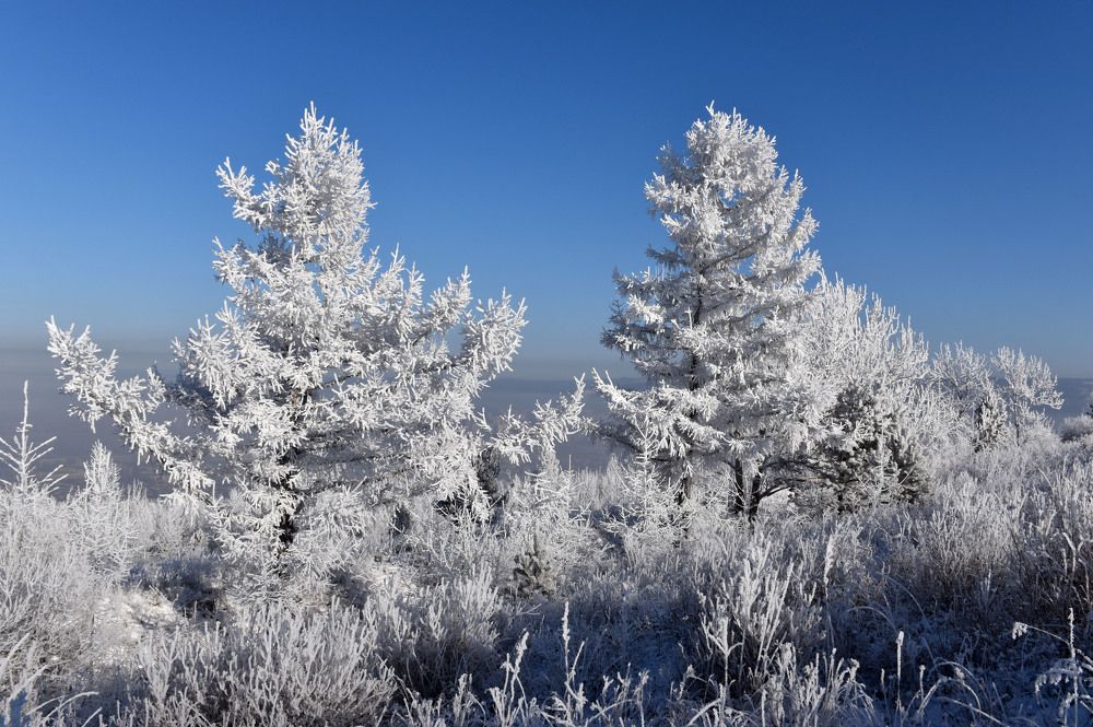Photograph by Алексей Лаврентьев