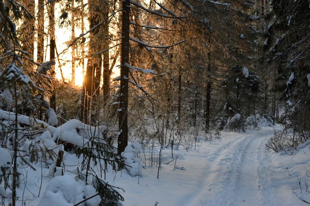 Photograph by Valentina Kolotova