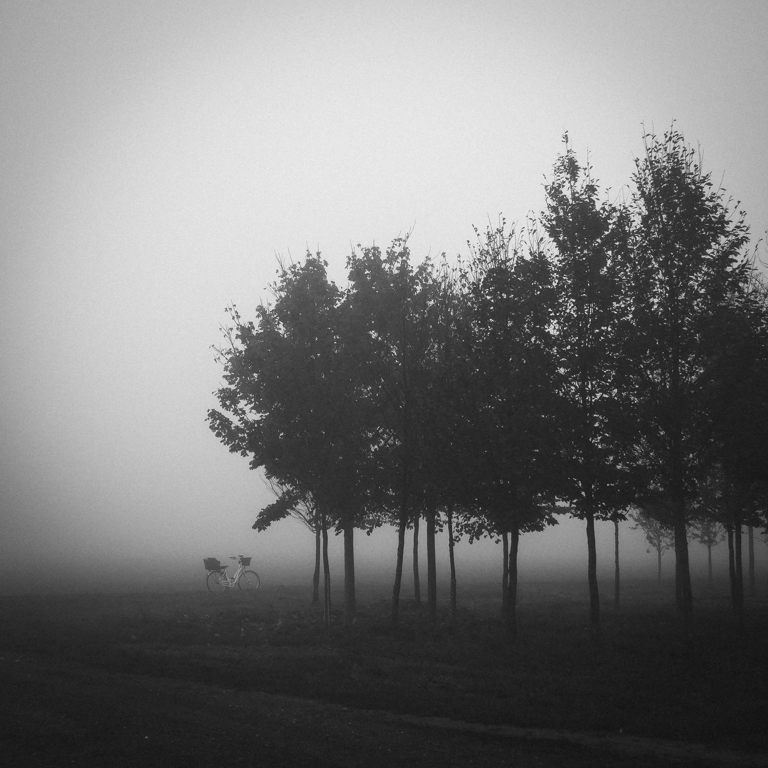 Photo #7070924