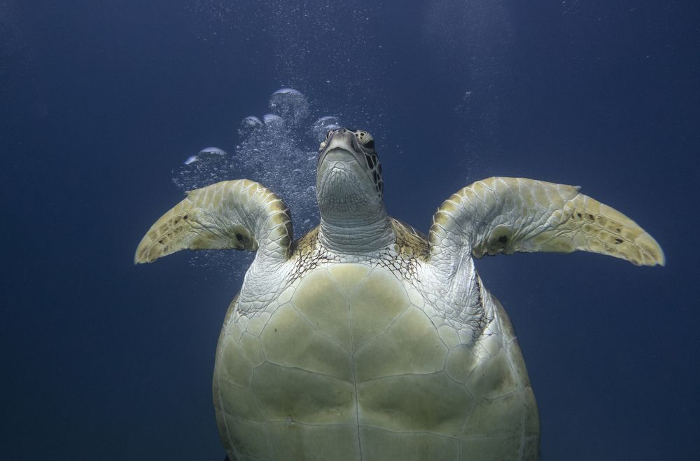 Photograph by Галина Михоношина