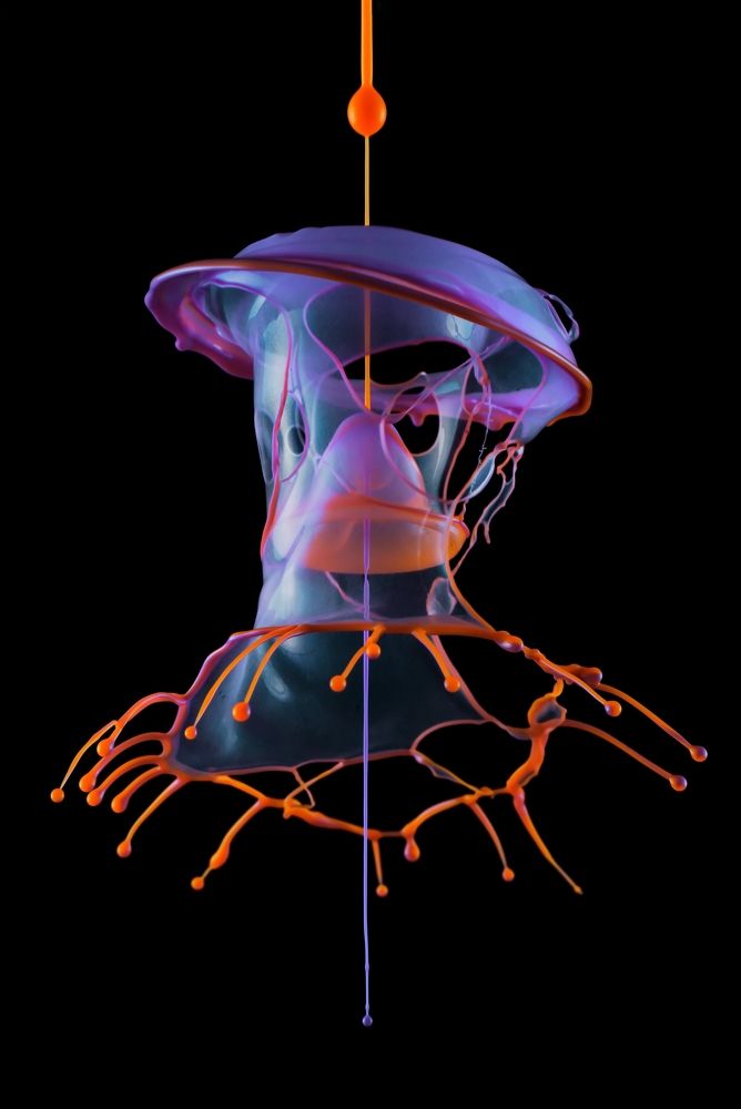 Фотография автора Илан Грабоис