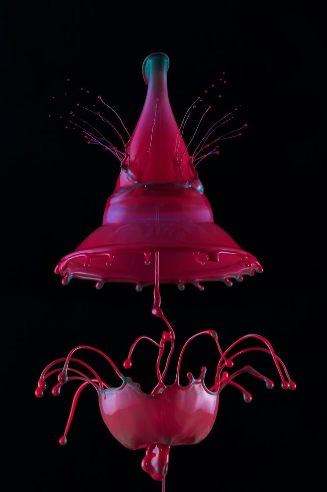 Фотография автора Илан Грабоис