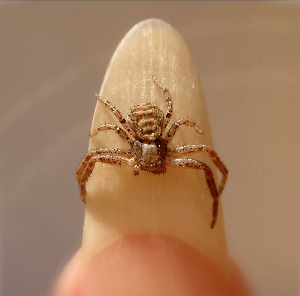 Photograph by Любовь Саханова