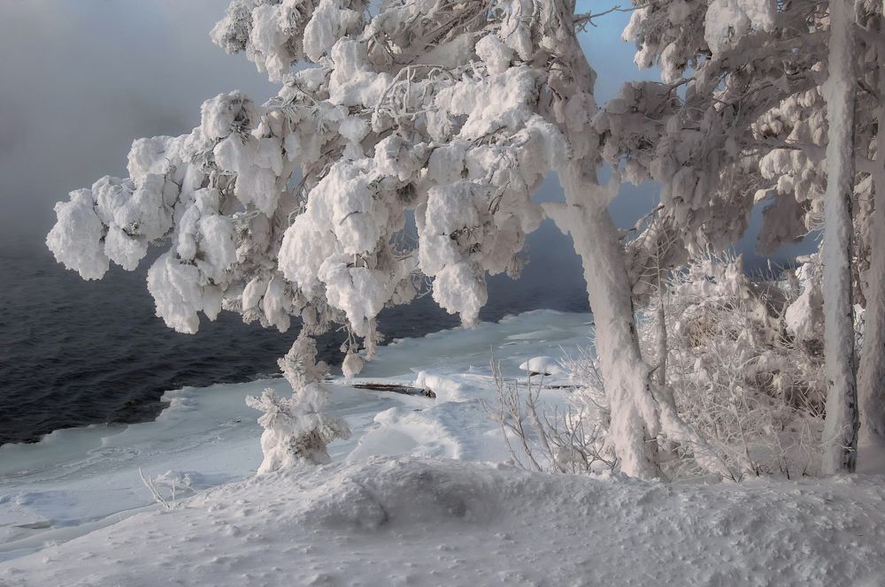 Photograph by Марина Фомина