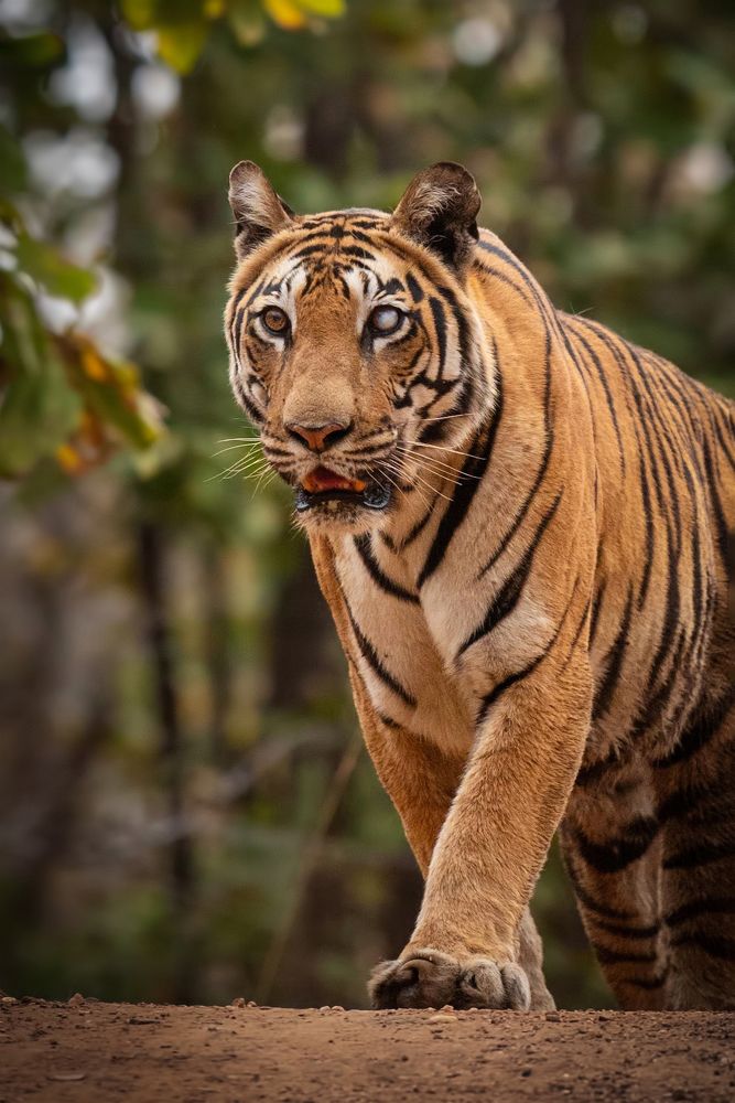 Photograph by Sarosh Lodhi