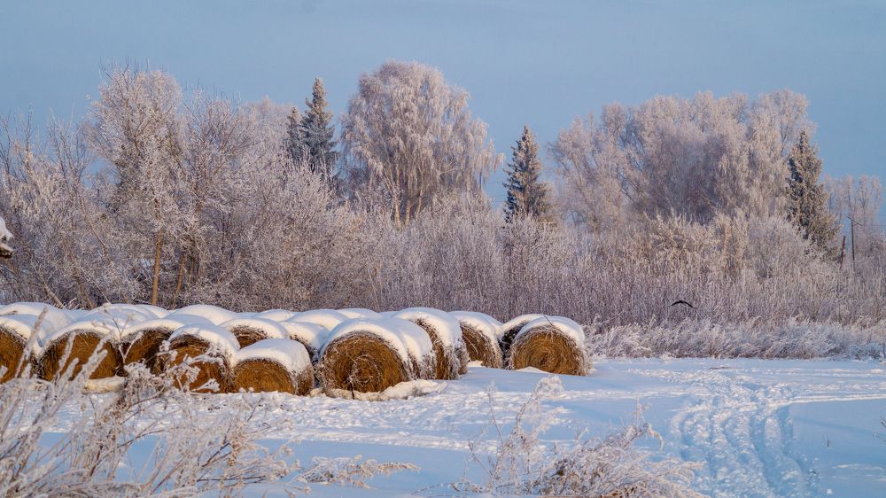 Photograph by Николай Мокшин