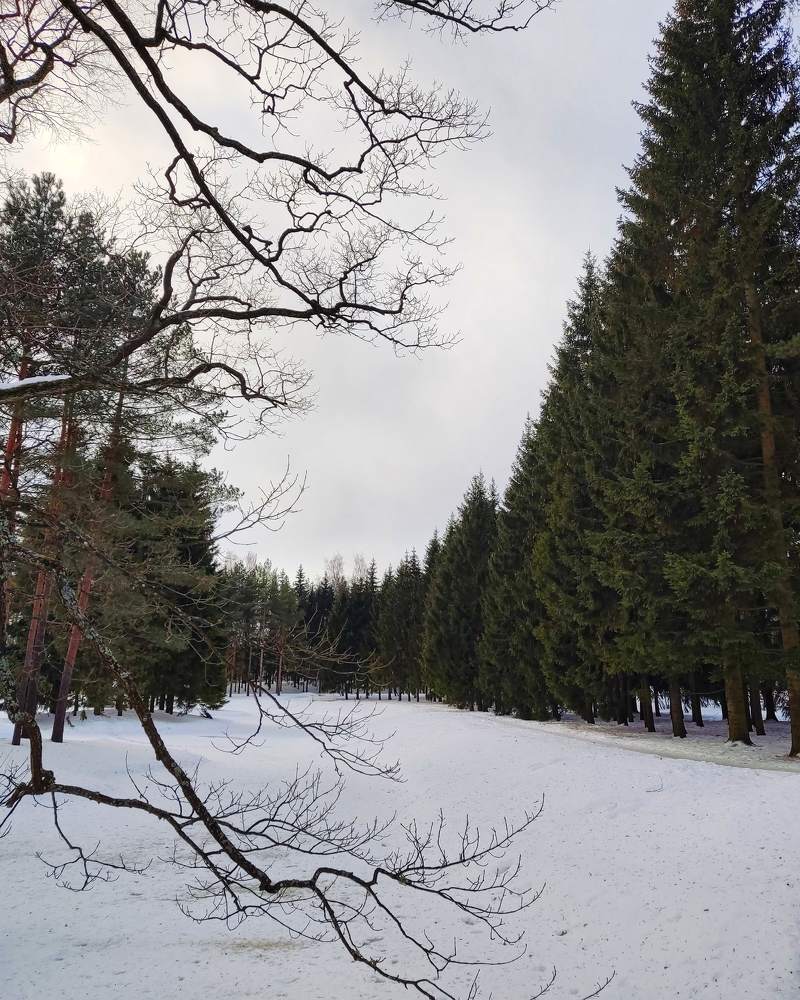 Photograph by Ксения Щеголева