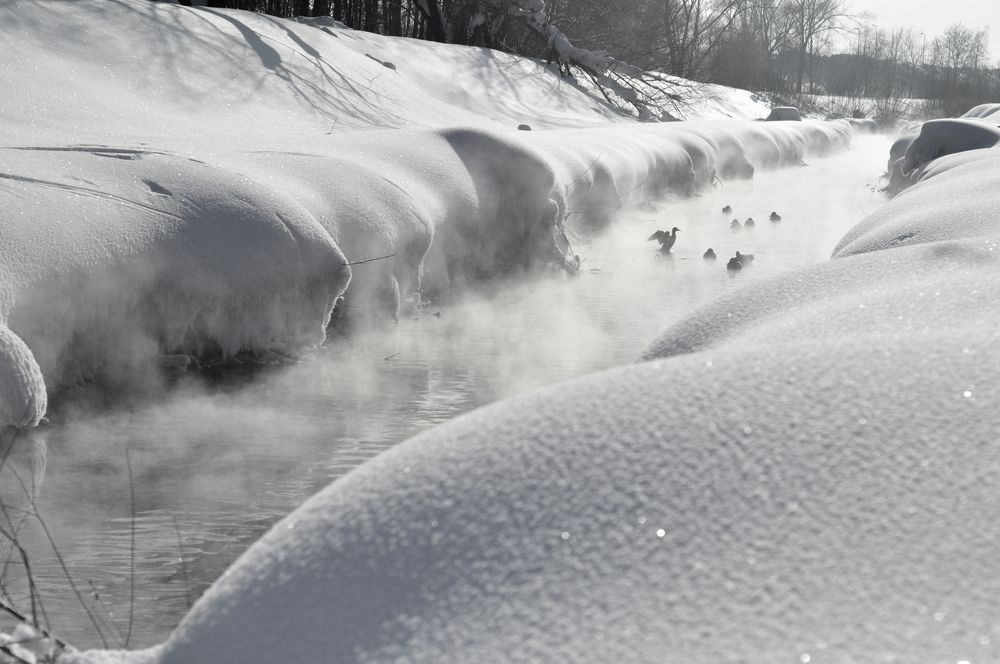 Photograph by Мария Усманова